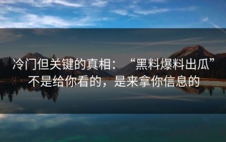 冷门但关键的真相：“黑料爆料出瓜”不是给你看的，是来拿你信息的
