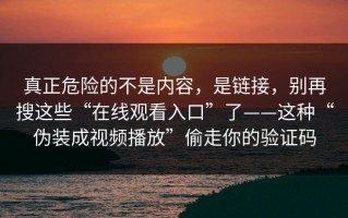 真正危险的不是内容，是链接，别再搜这些“在线观看入口”了——这种“伪装成视频播放”偷走你的验证码