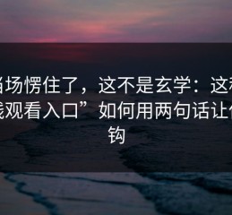 我当场愣住了，这不是玄学：这种“在线观看入口”如何用两句话让你上钩