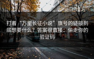 打着“万里长征小说”旗号的链接到底想要什么？答案很直接：偷走你的验证码