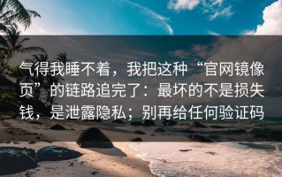 气得我睡不着，我把这种“官网镜像页”的链路追完了：最坏的不是损失钱，是泄露隐私；别再给任何验证码