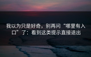 我以为只是好奇，别再问“哪里有入口”了：看到这类提示直接退出