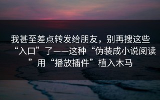 我甚至差点转发给朋友，别再搜这些“入口”了——这种“伪装成小说阅读”用“播放插件”植入木马
