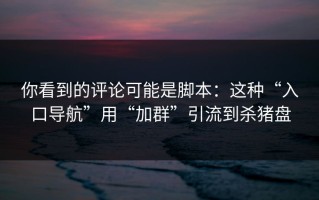 你看到的评论可能是脚本：这种“入口导航”用“加群”引流到杀猪盘