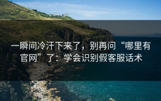 一瞬间冷汗下来了，别再问“哪里有官网”了：学会识别假客服话术