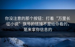 你没注意的那个按钮：打着“万里长征小说”旗号的链接不是给你看的，是来拿你信息的
