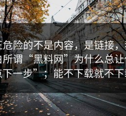 真正危险的不是内容，是链接，我才明白所谓“黑料网”为什么总让你“点下一步”；能不下载就不下载