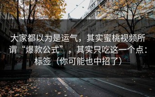 大家都以为是运气，其实蜜桃视频所谓“爆款公式”，其实只吃这一个点：标签（你可能也中招了）