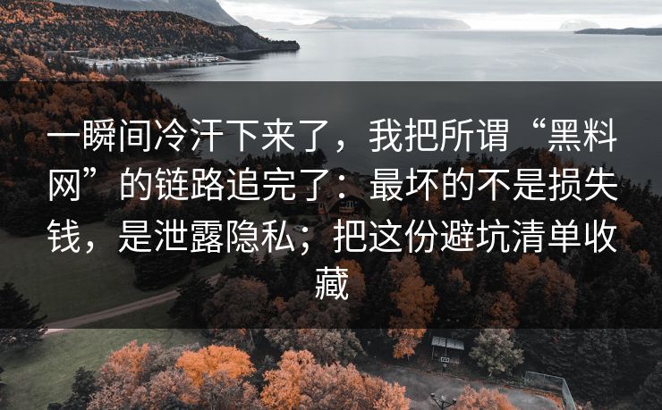 一瞬间冷汗下来了，我把所谓“黑料网”的链路追完了：最坏的不是损失钱，是泄露隐私；把这份避坑清单收藏