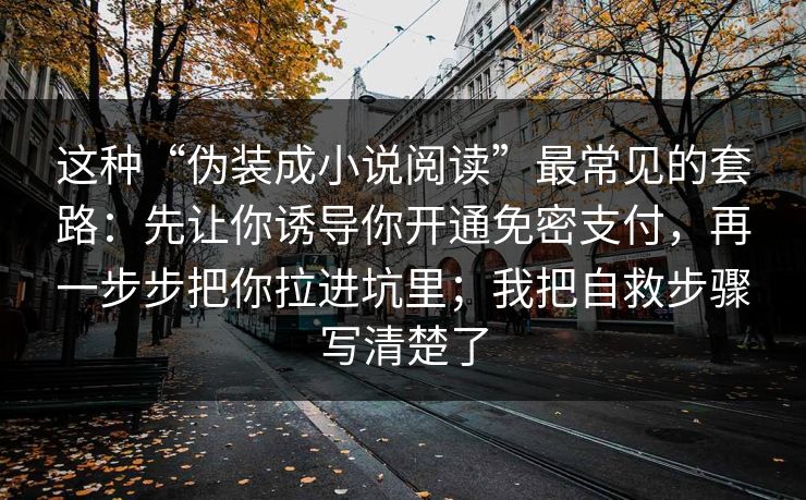 这种“伪装成小说阅读”最常见的套路：先让你诱导你开通免密支付，再一步步把你拉进坑里；我把自救步骤写清楚了-第1张图片-每日大赛官方页