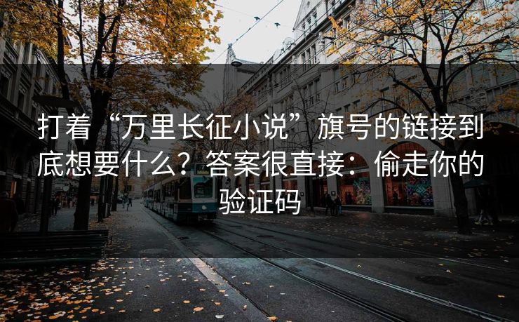 打着“万里长征小说”旗号的链接到底想要什么？答案很直接：偷走你的验证码