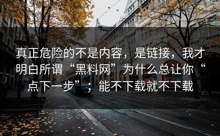 真正危险的不是内容，是链接，我才明白所谓“黑料网”为什么总让你“点下一步”；能不下载就不下载