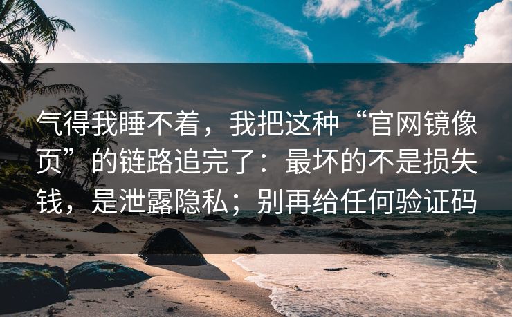 气得我睡不着，我把这种“官网镜像页”的链路追完了：最坏的不是损失钱，是泄露隐私；别再给任何验证码