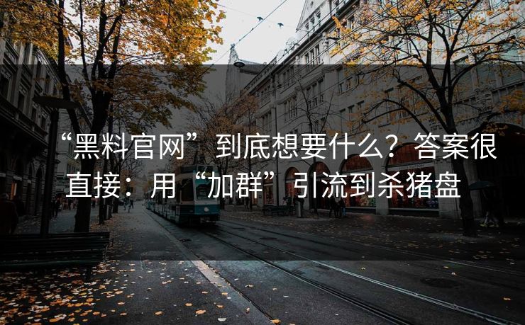 “黑料官网”到底想要什么？答案很直接：用“加群”引流到杀猪盘
