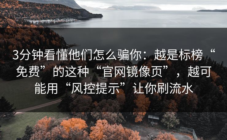 3分钟看懂他们怎么骗你：越是标榜“免费”的这种“官网镜像页”，越可能用“风控提示”让你刷流水