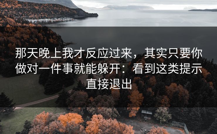 那天晚上我才反应过来，其实只要你做对一件事就能躲开：看到这类提示直接退出